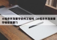 小程序开发要学软件工程吗（小程序开发需要学哪些需要?）