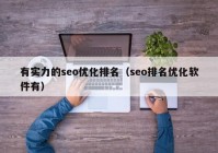 有实力的seo优化排名（seo排名优化软件有）